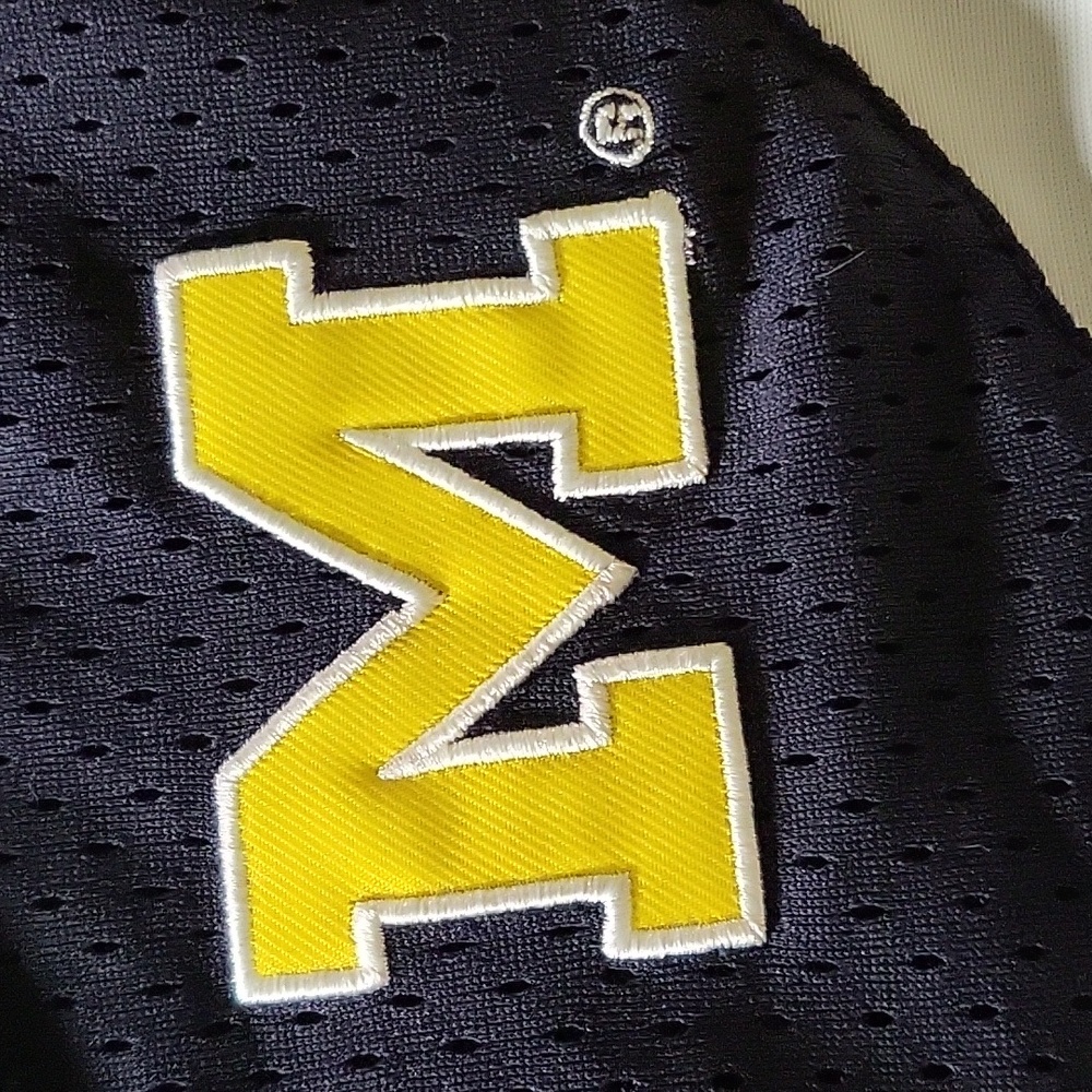 Vintage Michigan basketball shorts - Picture 2 of 8